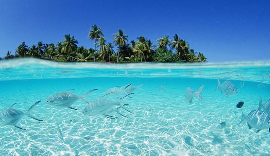 Magnificent Lakshadweep Islands | ADVENTURESOME