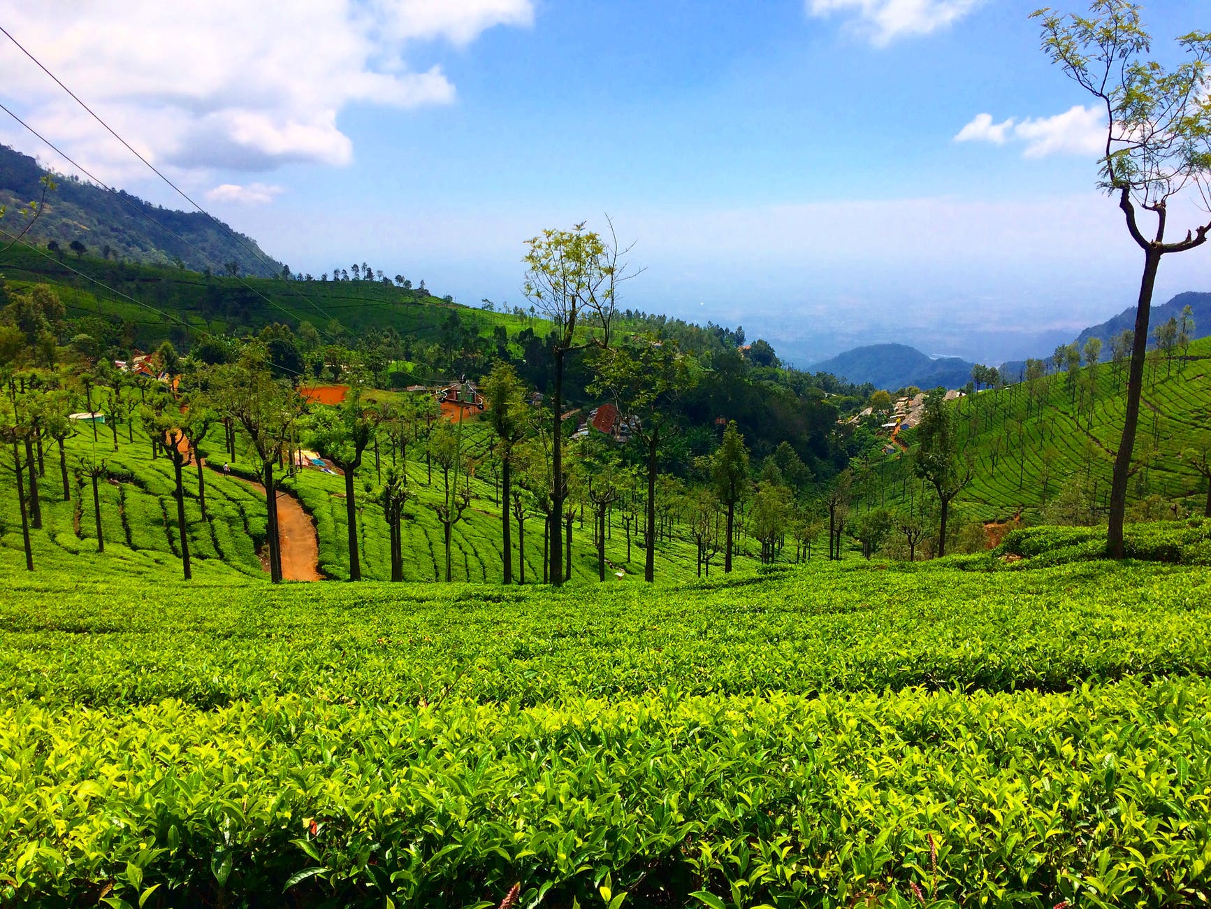 ooty mysore trip